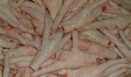 鸡爪养殖爆料视频,揭秘幕后养殖过程与经济效益